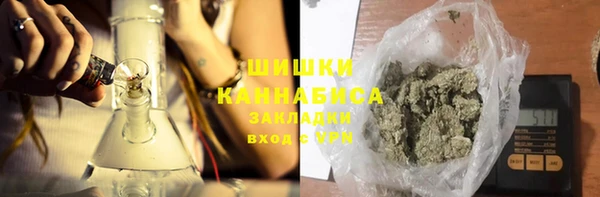 индика Волоколамск