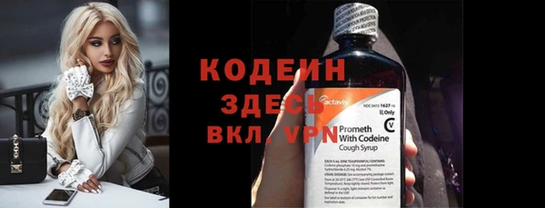 индика Волоколамск