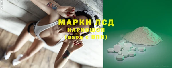 индика Волоколамск
