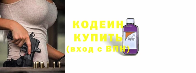 индика Волоколамск