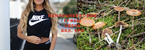 индика Волоколамск