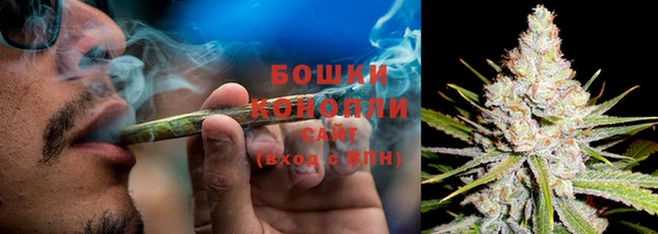 индика Волоколамск