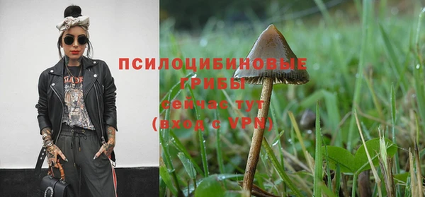 трава Волосово