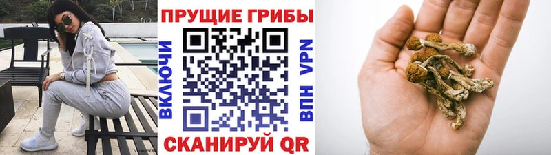 Псилоцибиновые грибы Psilocybe  ссылка на мегу сайт  Нарьян-Мар 